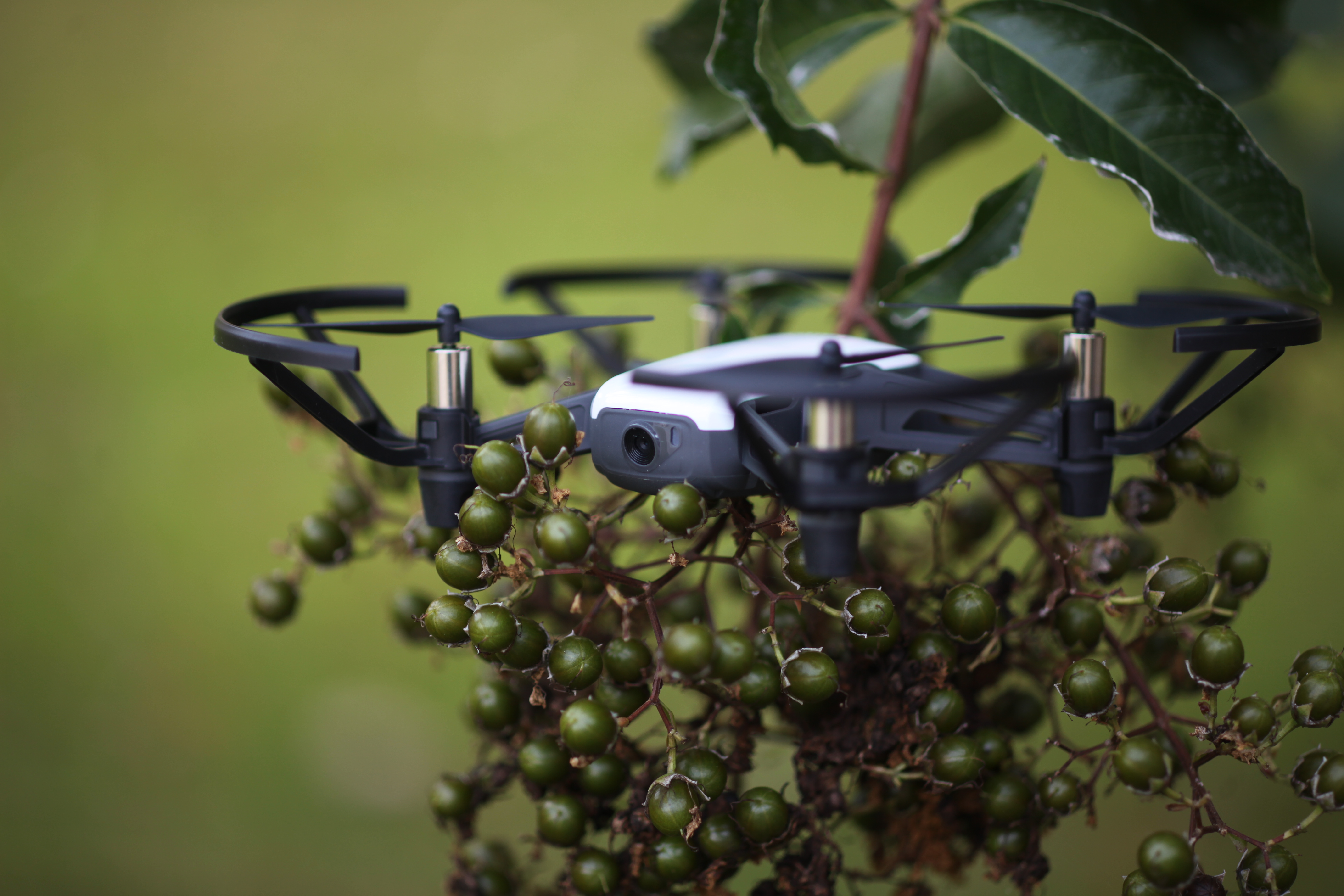 Communication Interchange for Artificial Intelligence Systems thumbnail